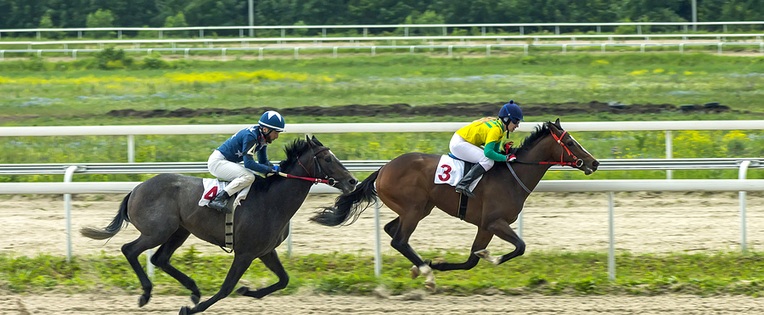 Horses in First and Second